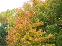 IMG 0753