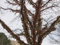 IMG 0761