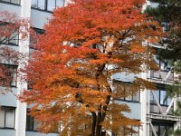 IMG 0784