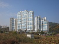 IMG 0937