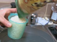 IMG 0729
