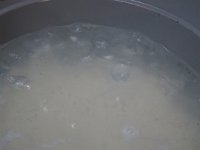 IMG 0731