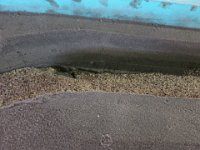 IMG 0752