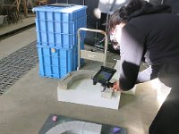 IMG 0769