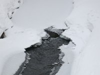 IMG 0805