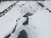 IMG 0806