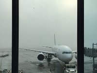 IMG 0299