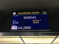 IMG 0303