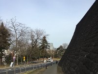 IMG 0364