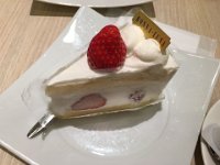 IMG 0381