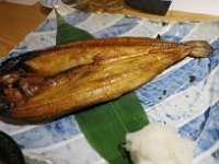IMG 2867
