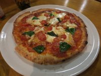 IMG 3510