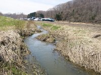 IMG 4298