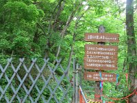 IMG 5772