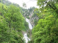 IMG 5794