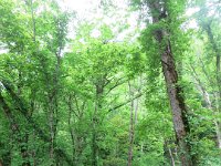 IMG 5819