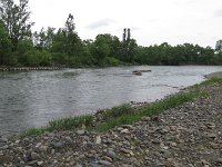 IMG 5908