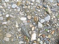 IMG 5913