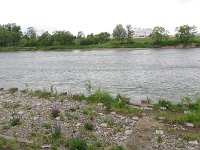 IMG 5947