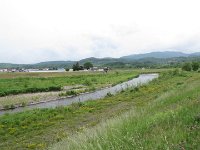IMG 5963