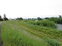 IMG 5965