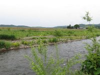 IMG 5978