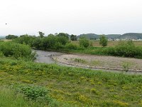 IMG 5979