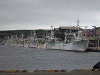 IMG 7483