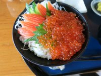 IMG 7488