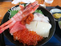 IMG 7492