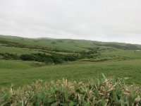 IMG 7503