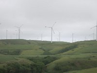 IMG 7504