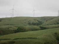IMG 7505