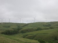 IMG 7507