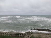 IMG 7512