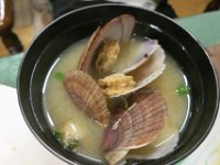 IMG 7543
