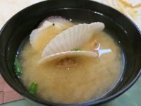 IMG 7544
