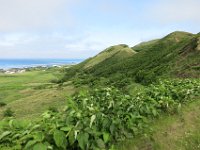 IMG 7558
