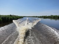 IMG 7597