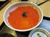 IMG 7647