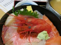 IMG 7657