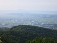 IMG 7661