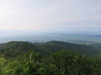 IMG 7663