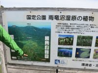 IMG 7726