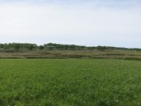 IMG 7736