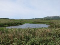 IMG 7742