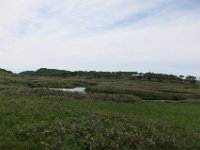 IMG 7752