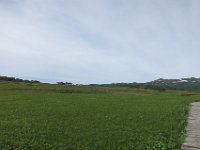 IMG 7754
