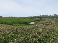 IMG 7755