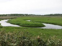 IMG 7757
